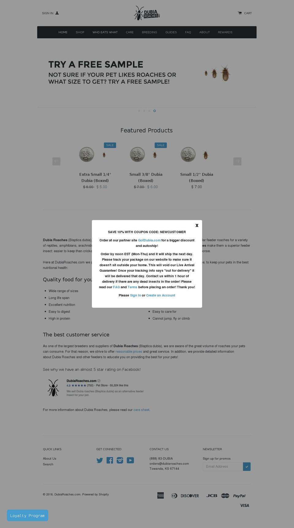 dubairocahes.com — Shopify storefront screenshot