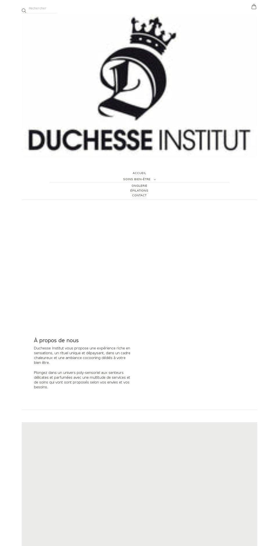 duchesse-institut.com shopify website screenshot