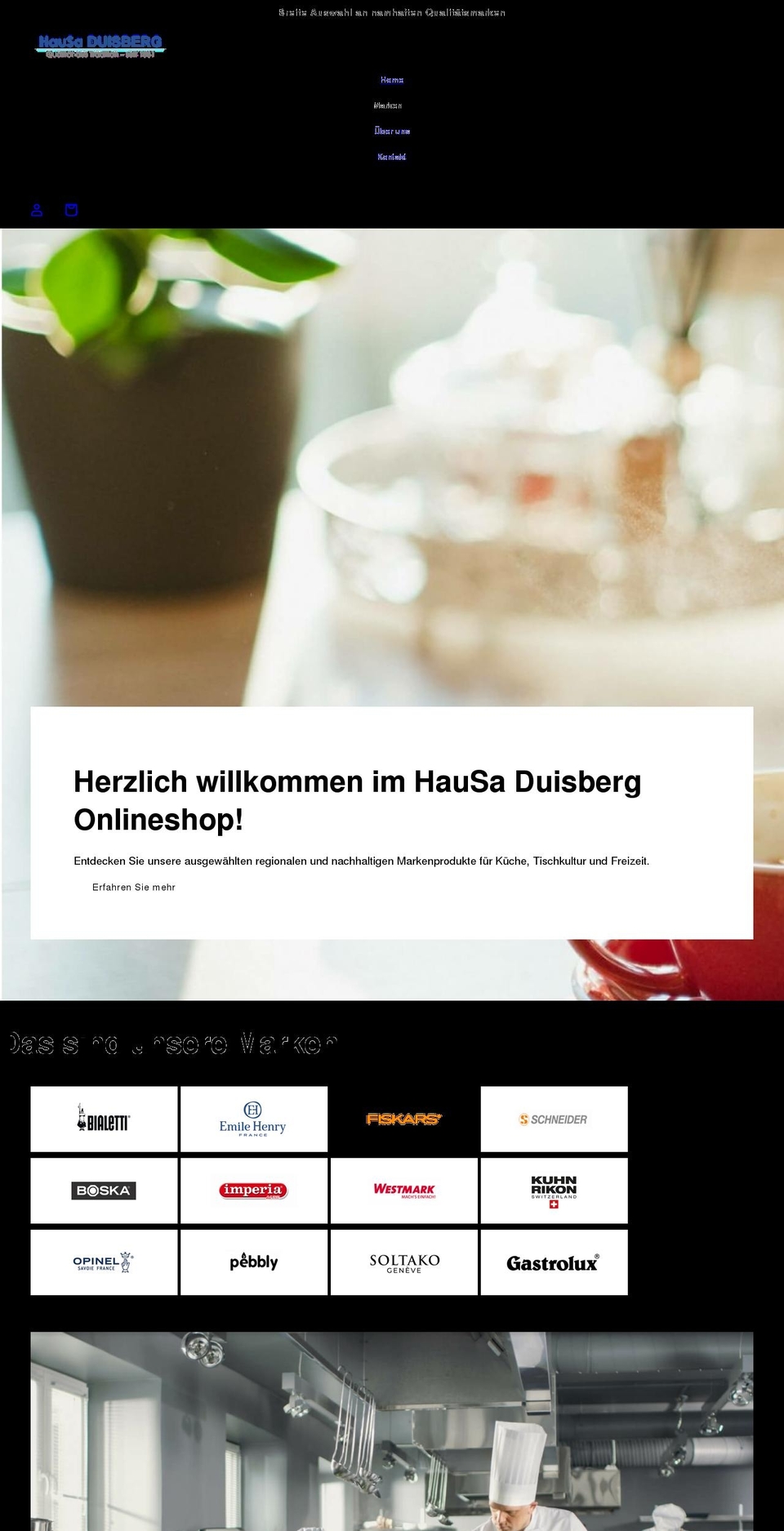 duisberg.at shopify website screenshot