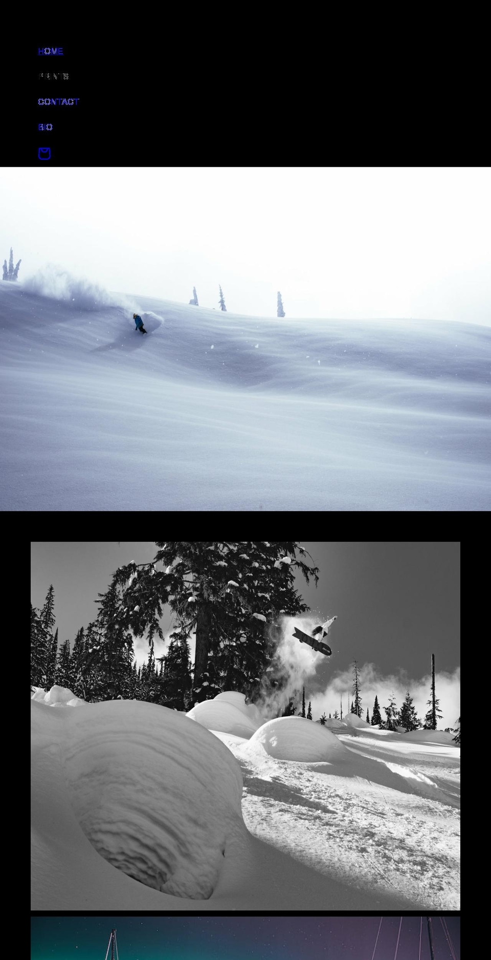 dustinlalik.com shopify website screenshot