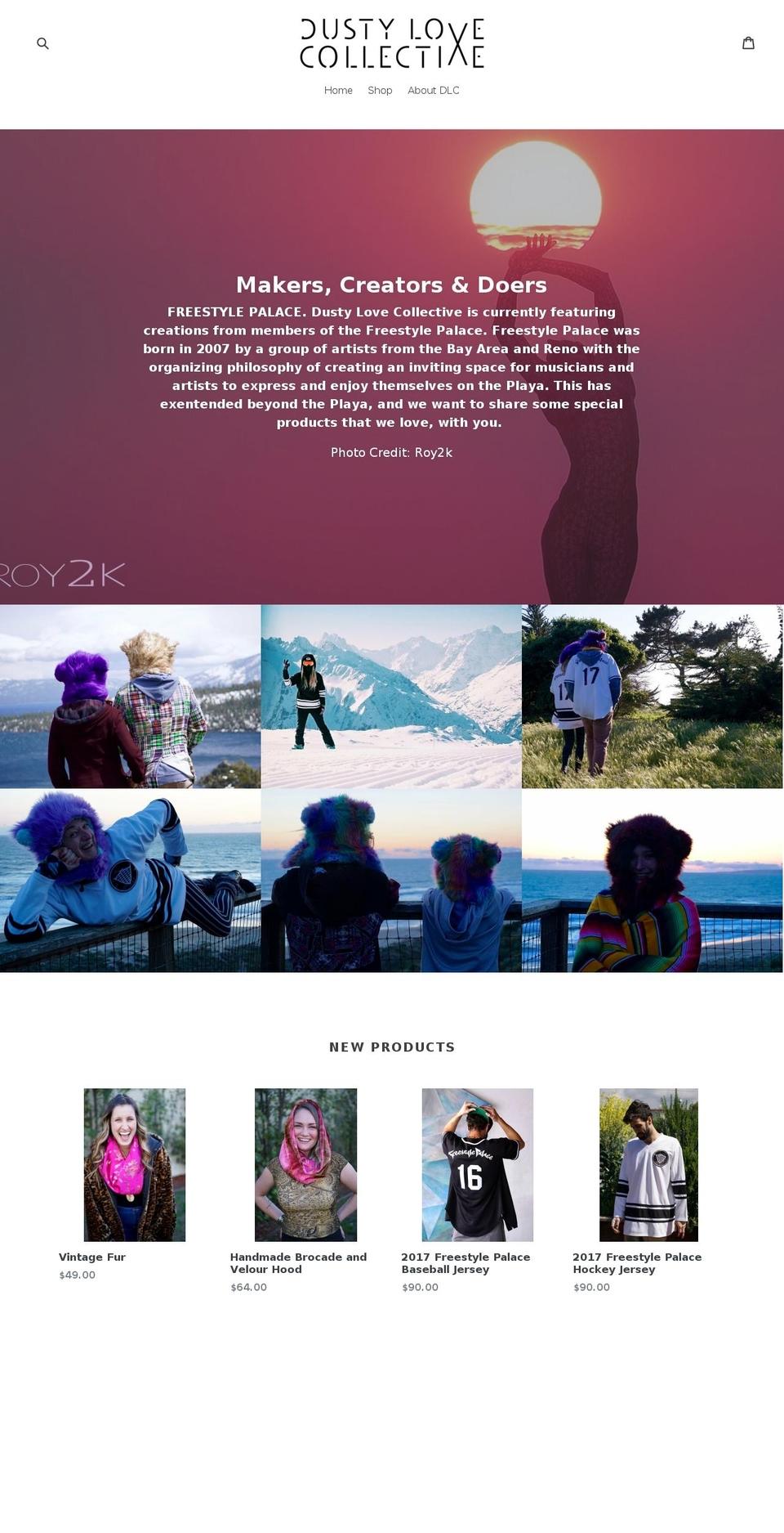 v1 Shopify theme site example dustylovecollective.com