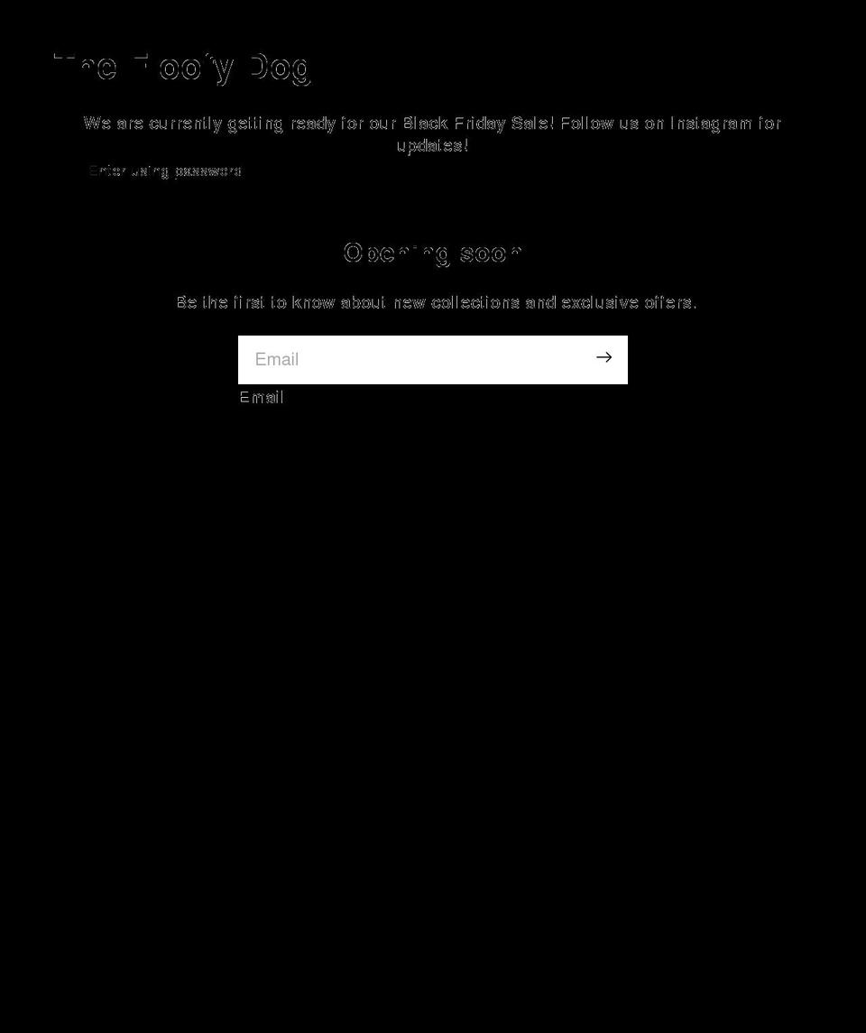 dwntwnboutique.com shopify website screenshot