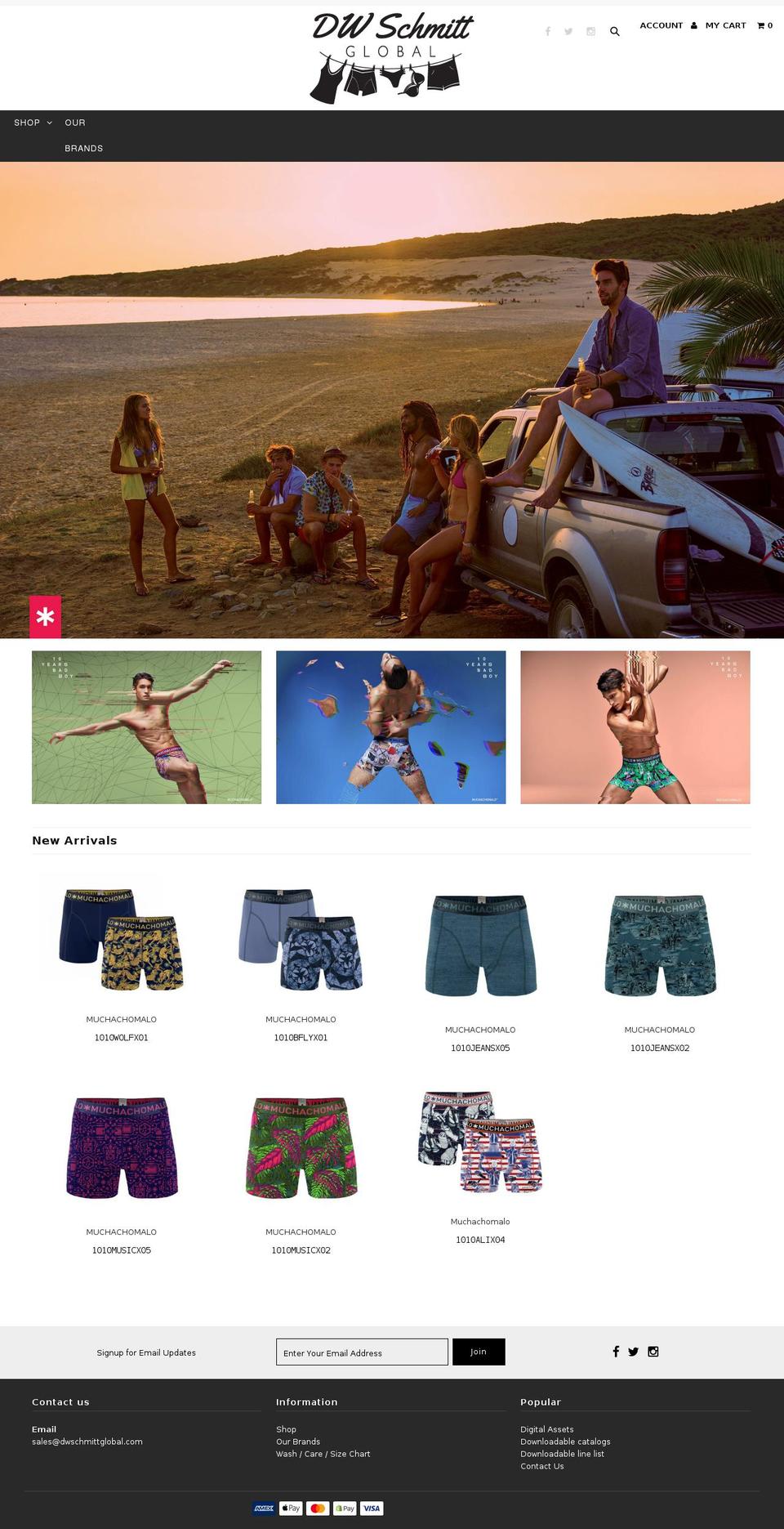 dwschmittglobal.com — Shopify storefront screenshot