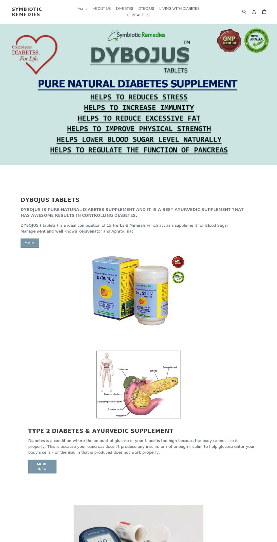 dybojus.com shopify website screenshot