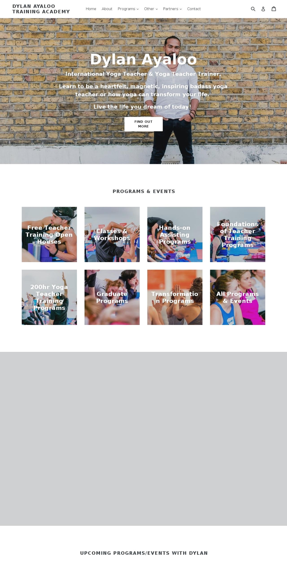 dylanayaloo.com — Shopify storefront screenshot