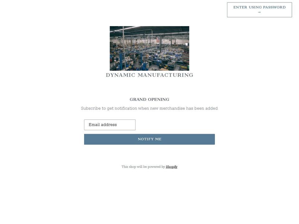 dynamicstore.net shopify website screenshot