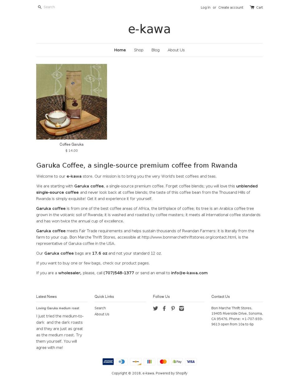 pictonixco Shopify theme site example e-kawa.net