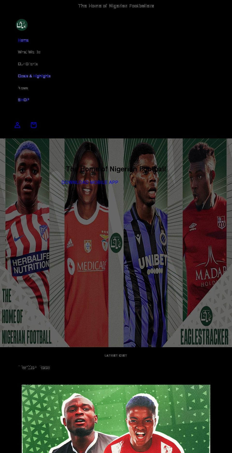 eaglestrackerng.com shopify website screenshot