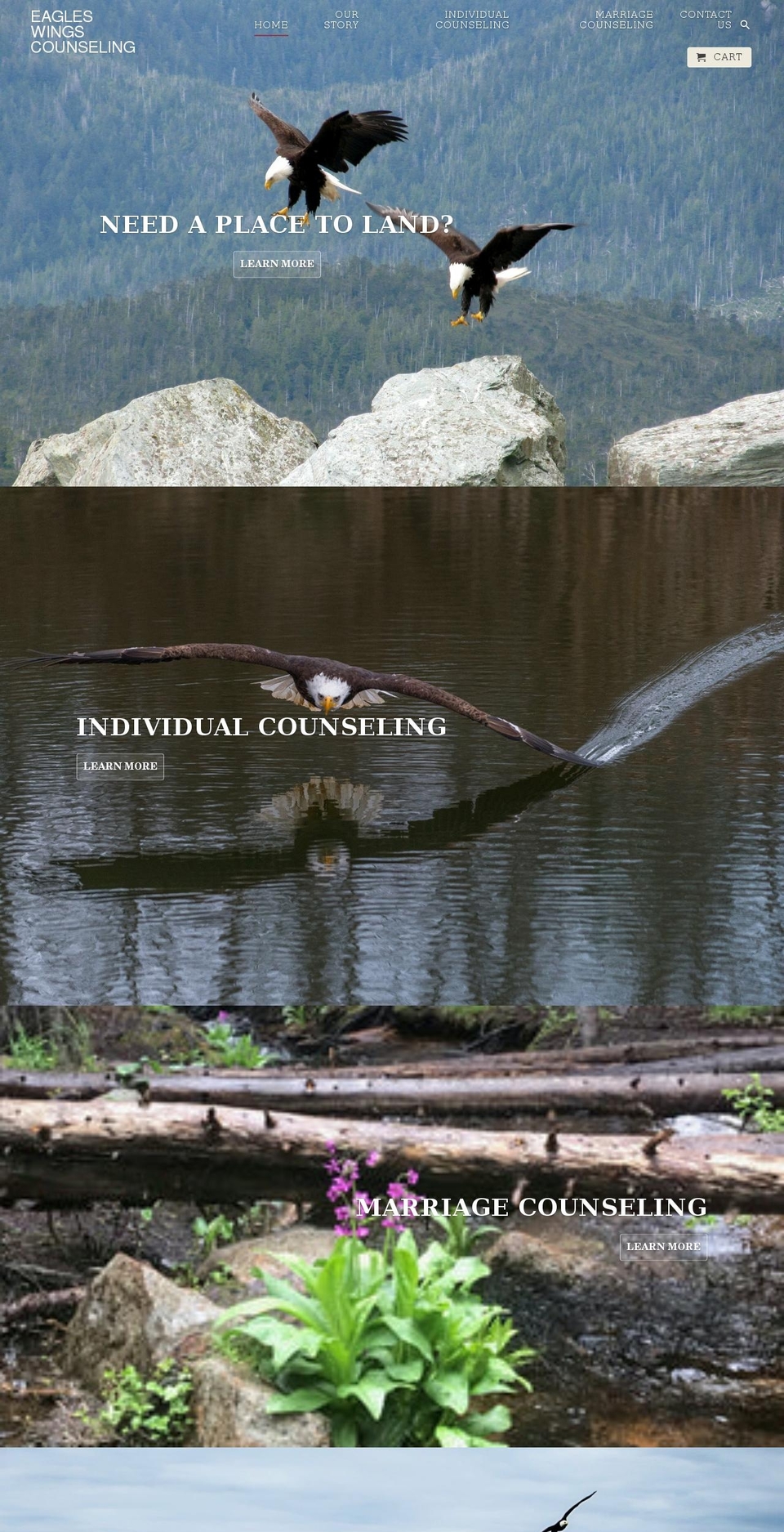 eagleswingsco.com shopify website screenshot