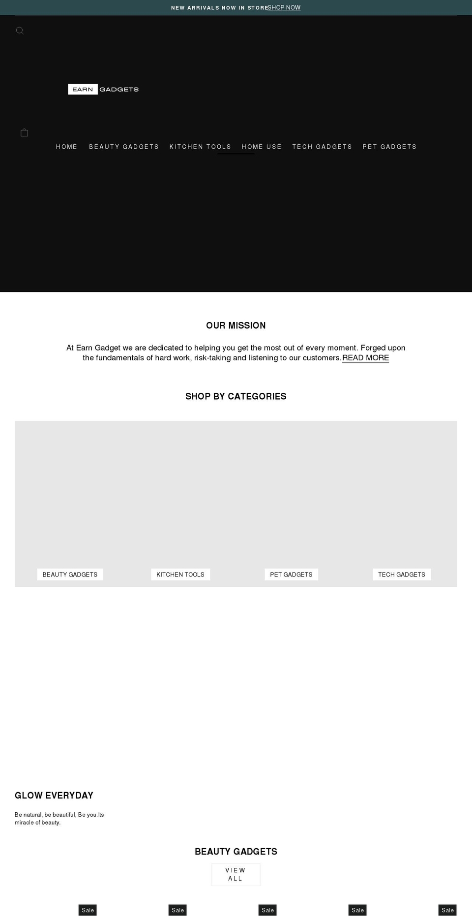 earngadgets.com shopify website screenshot
