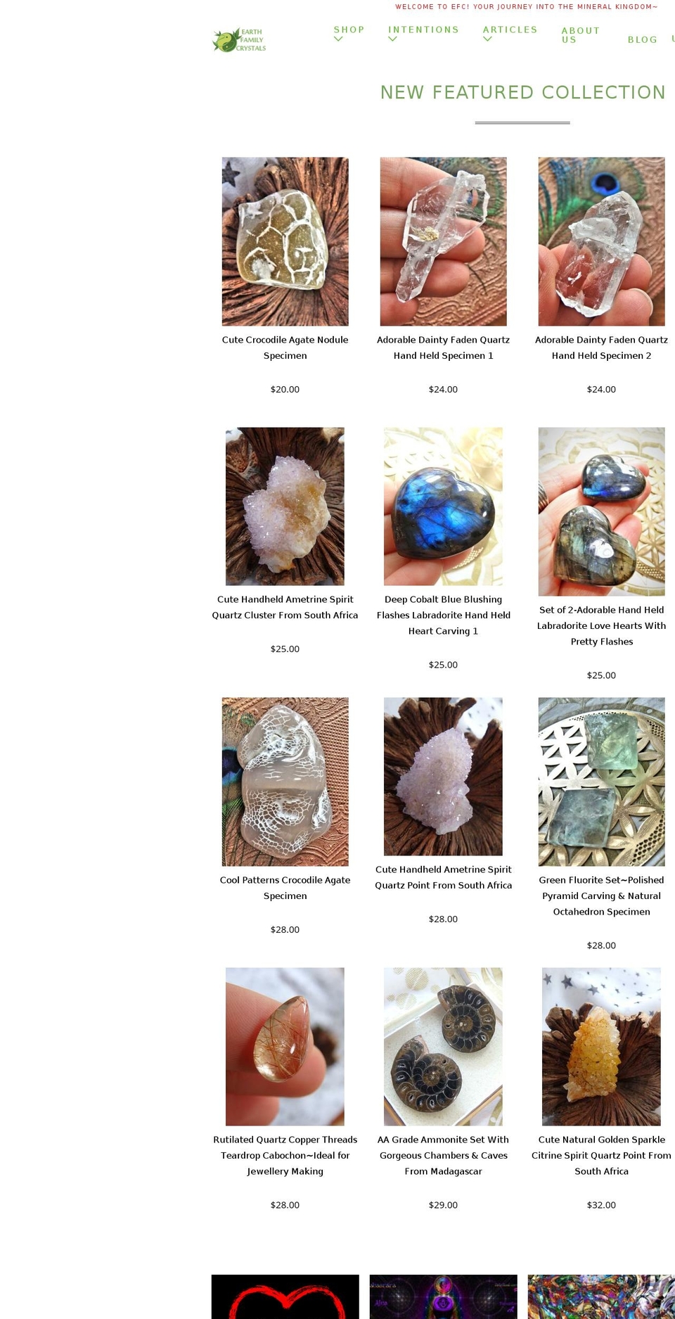 earthfamilycrystals.net shopify website screenshot