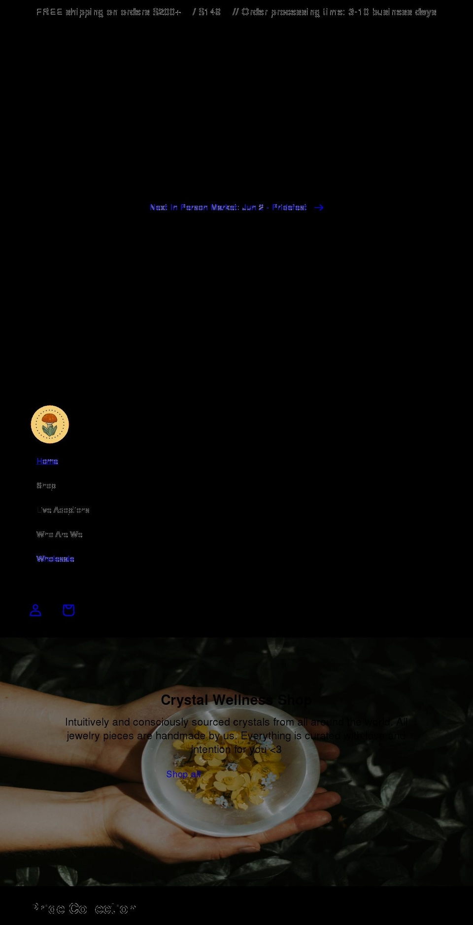 earthstarhealingcollective.com shopify website screenshot