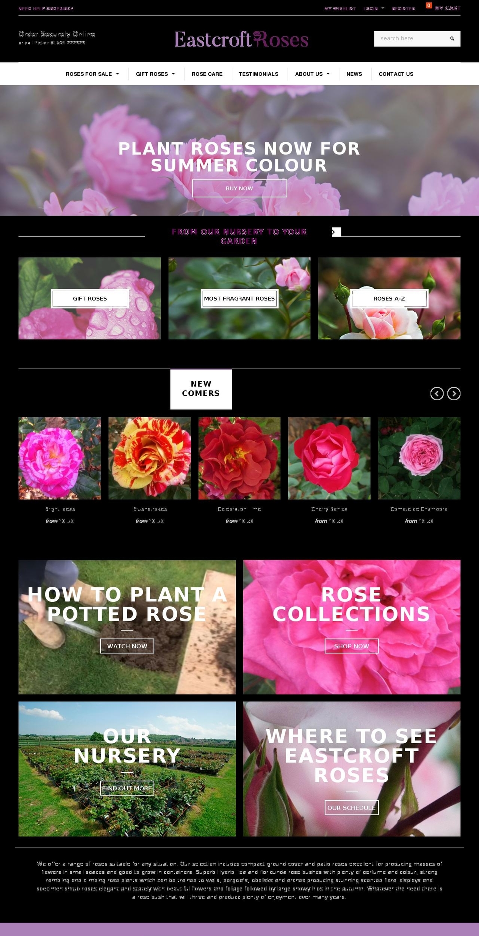 eastcroft-v Shopify theme site example eastcroftroses.co.uk