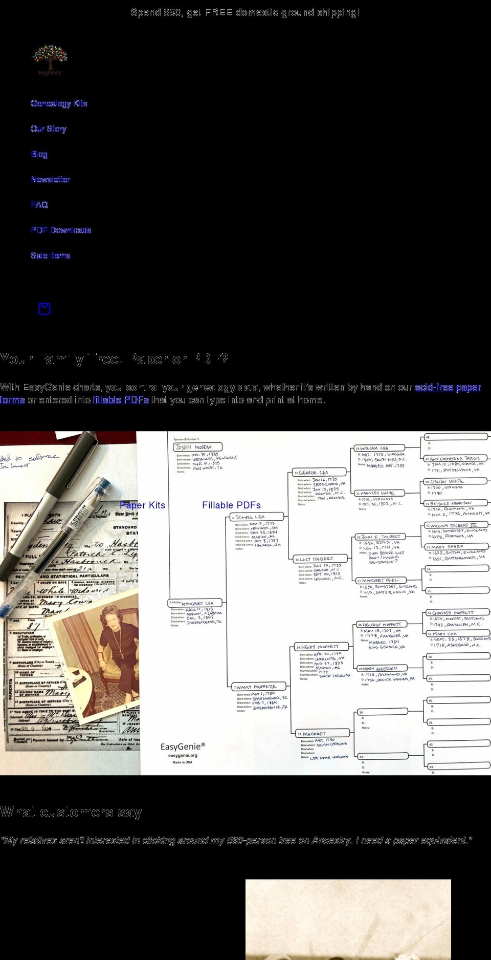 easygenie.org shopify website screenshot