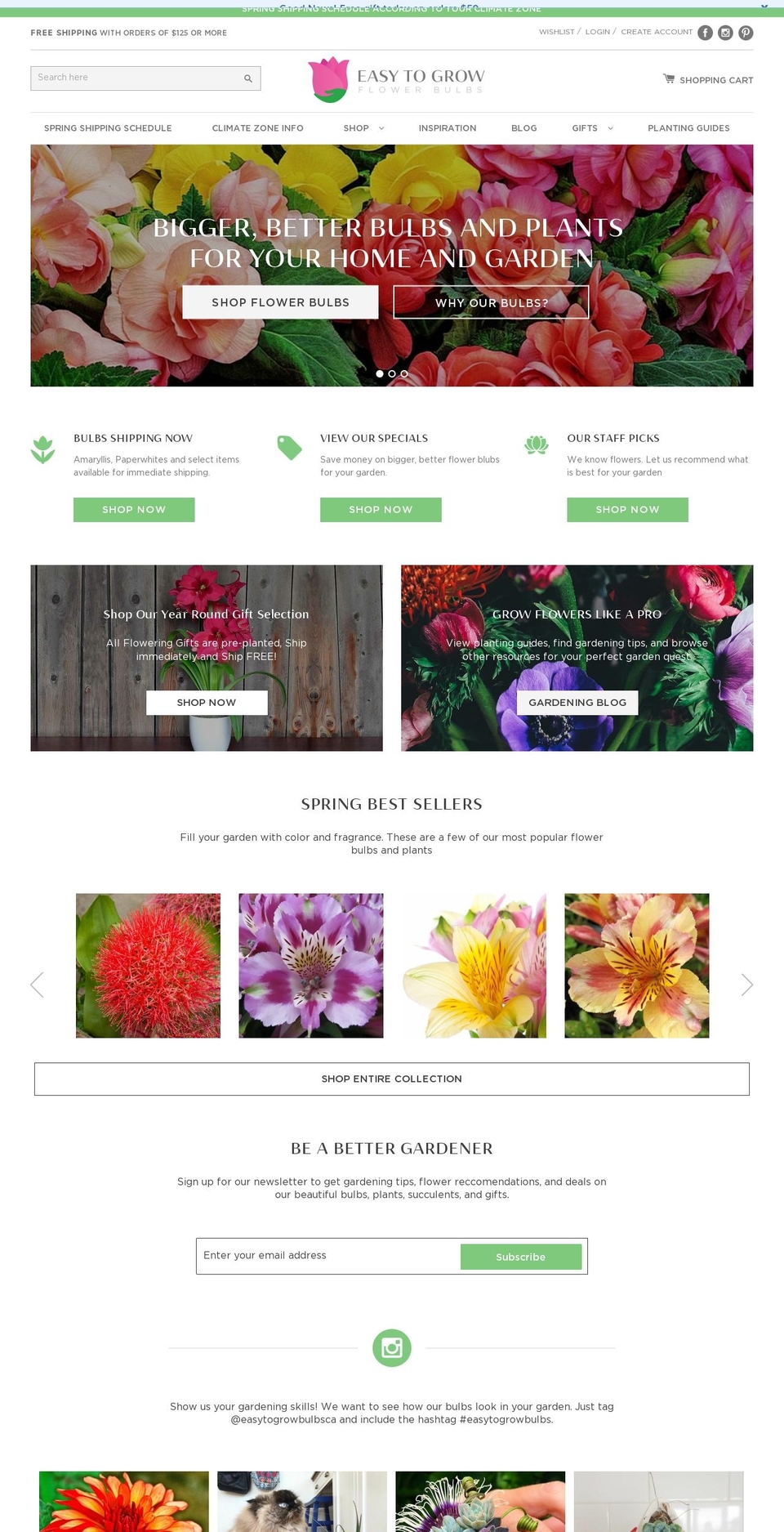 Bold - launchpad-star - Backup Shopify theme site example easytogrowflowerbulbs.com