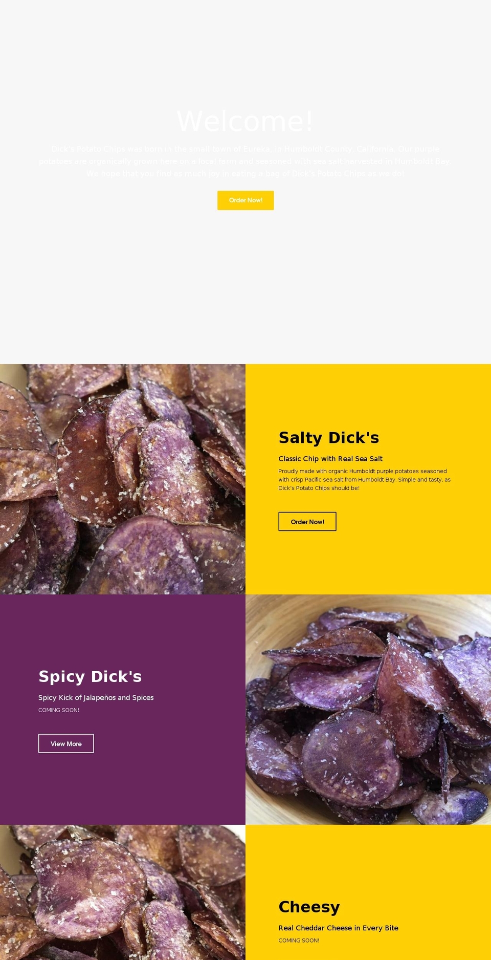 eatdickschips.com — Shopify storefront screenshot