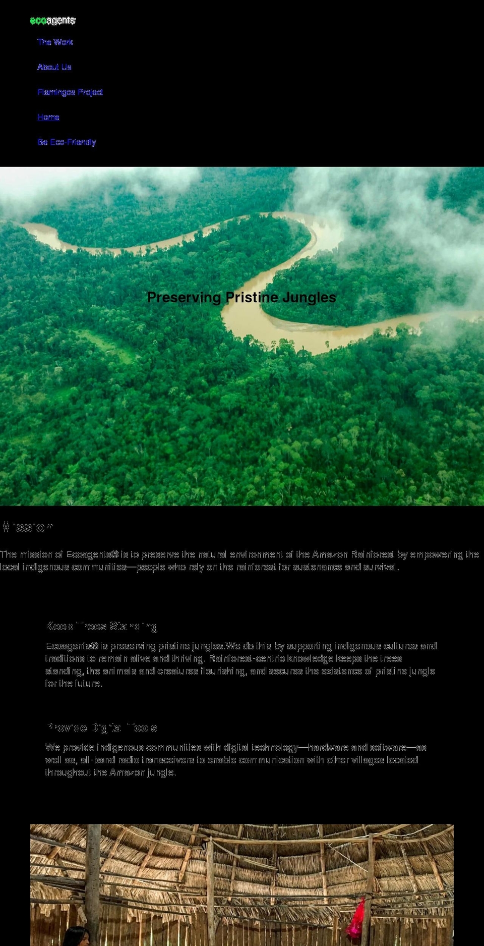 ecoagentes.org shopify website screenshot