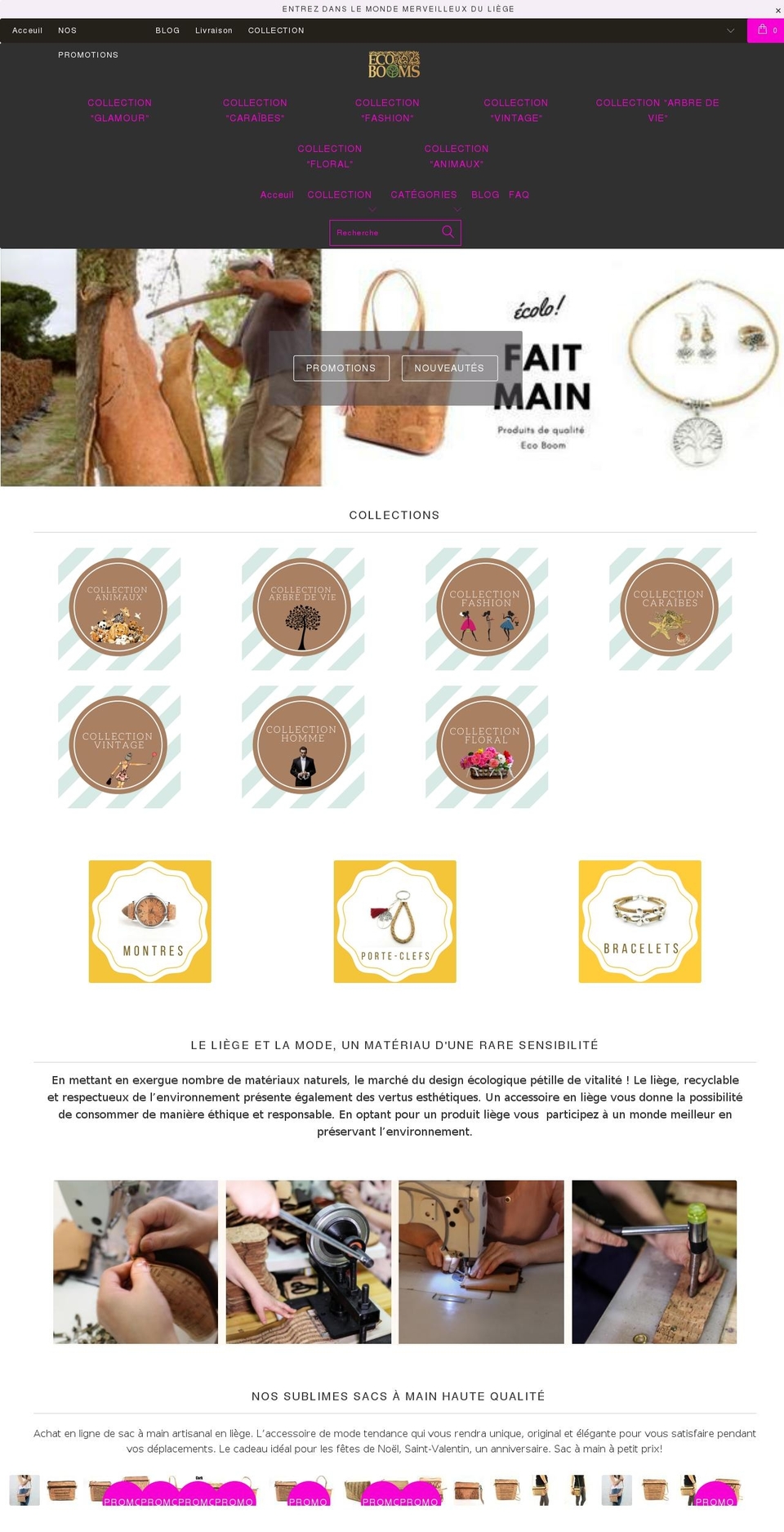 ecobooms.com — Shopify storefront screenshot