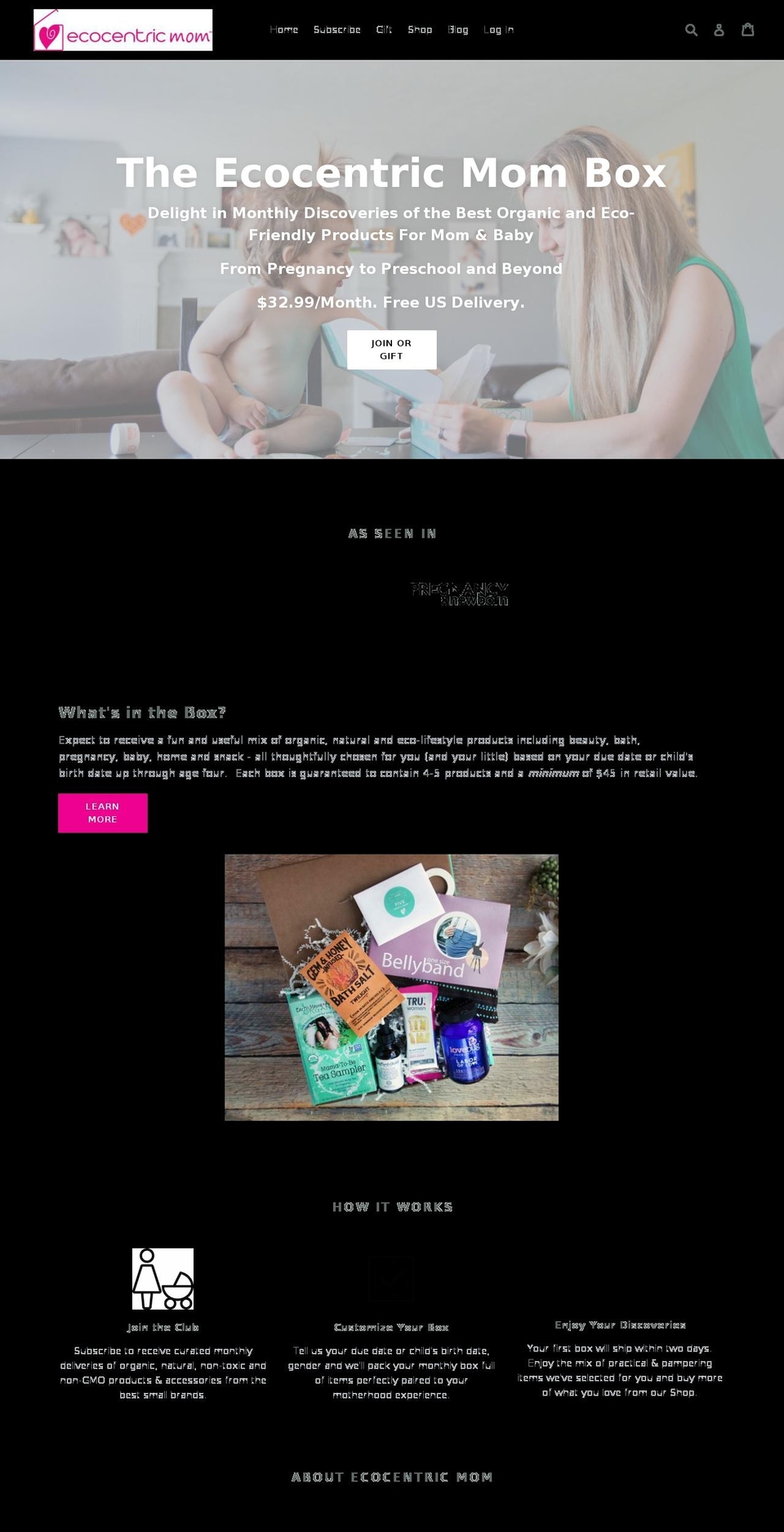 ecocentricmom.com — Shopify storefront screenshot