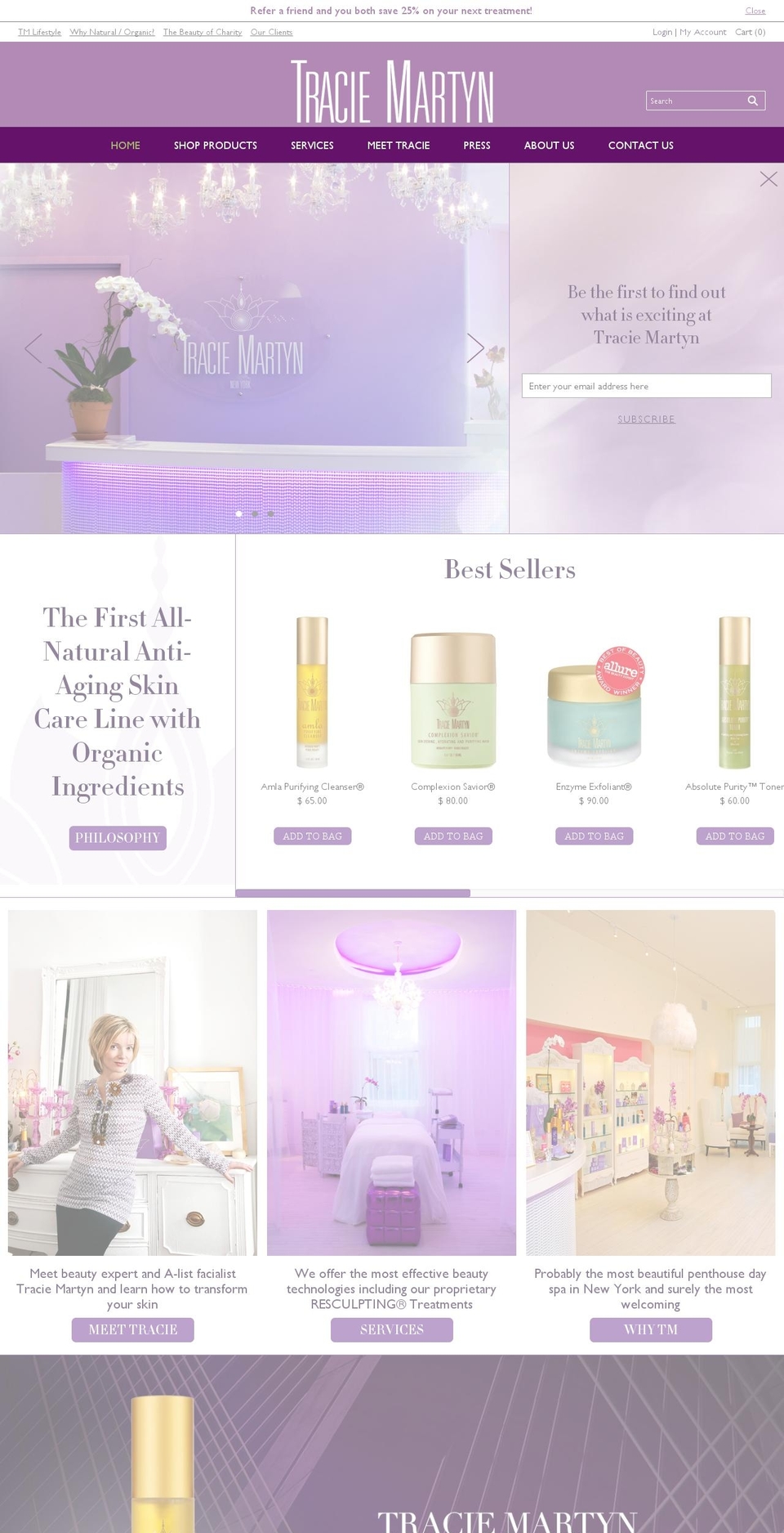 ecochicskincare.com shopify website screenshot