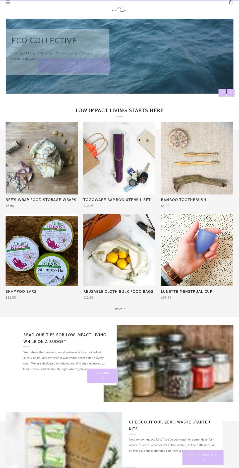 ecocollectiveseattle.com — Shopify storefront screenshot