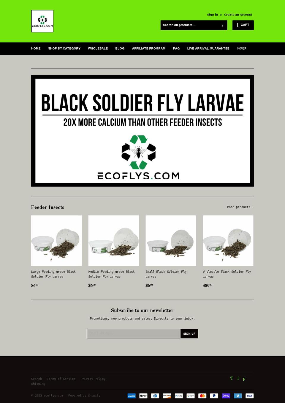 ecoflys.com shopify website screenshot