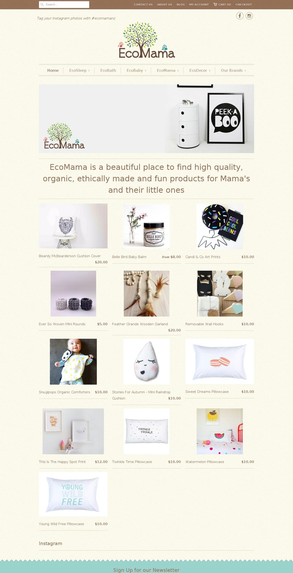 ecomamanz.com shopify website screenshot