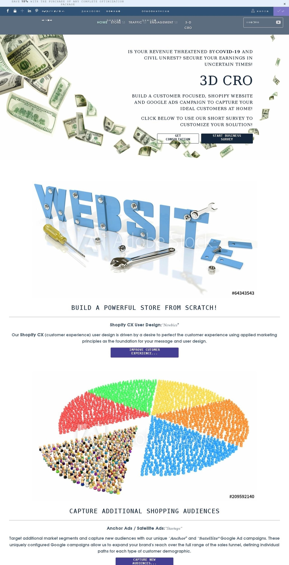 ecomprofitpirate.com shopify website screenshot