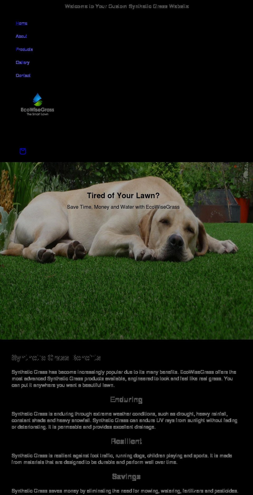 ecowisegrass.com shopify website screenshot