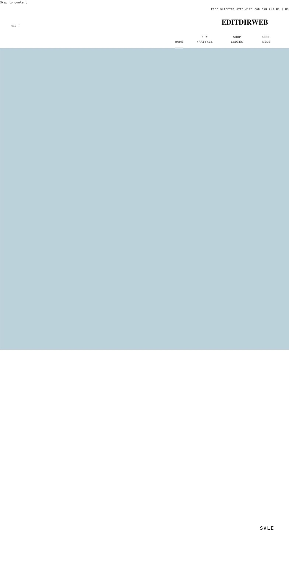 editdirweb.com shopify website screenshot