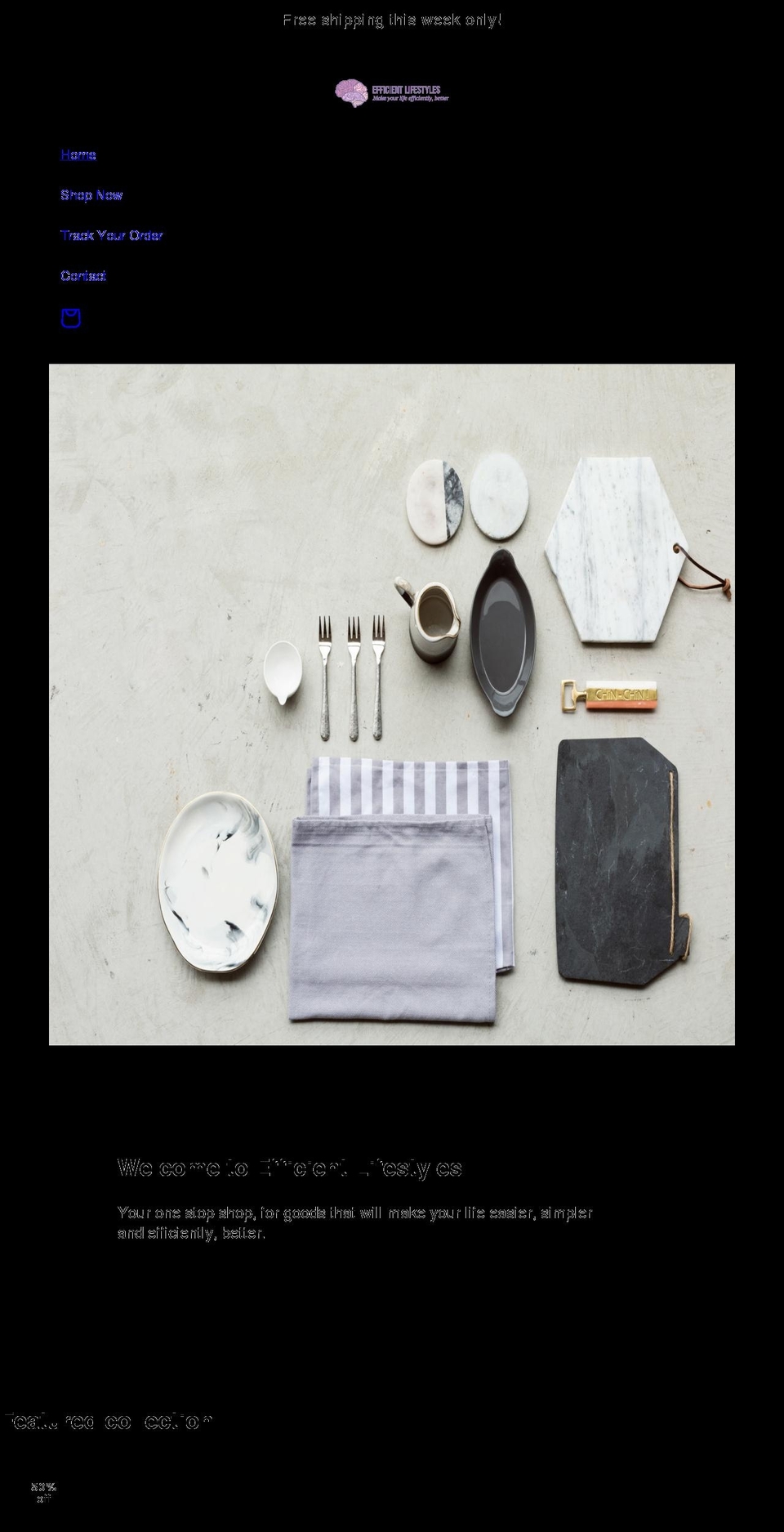 efficientlifestyles.com shopify website screenshot