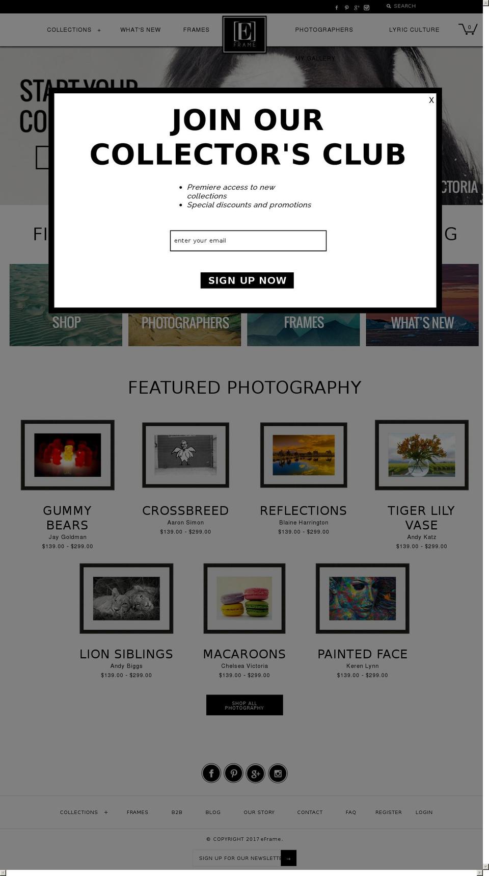 eframegallery.com shopify website screenshot