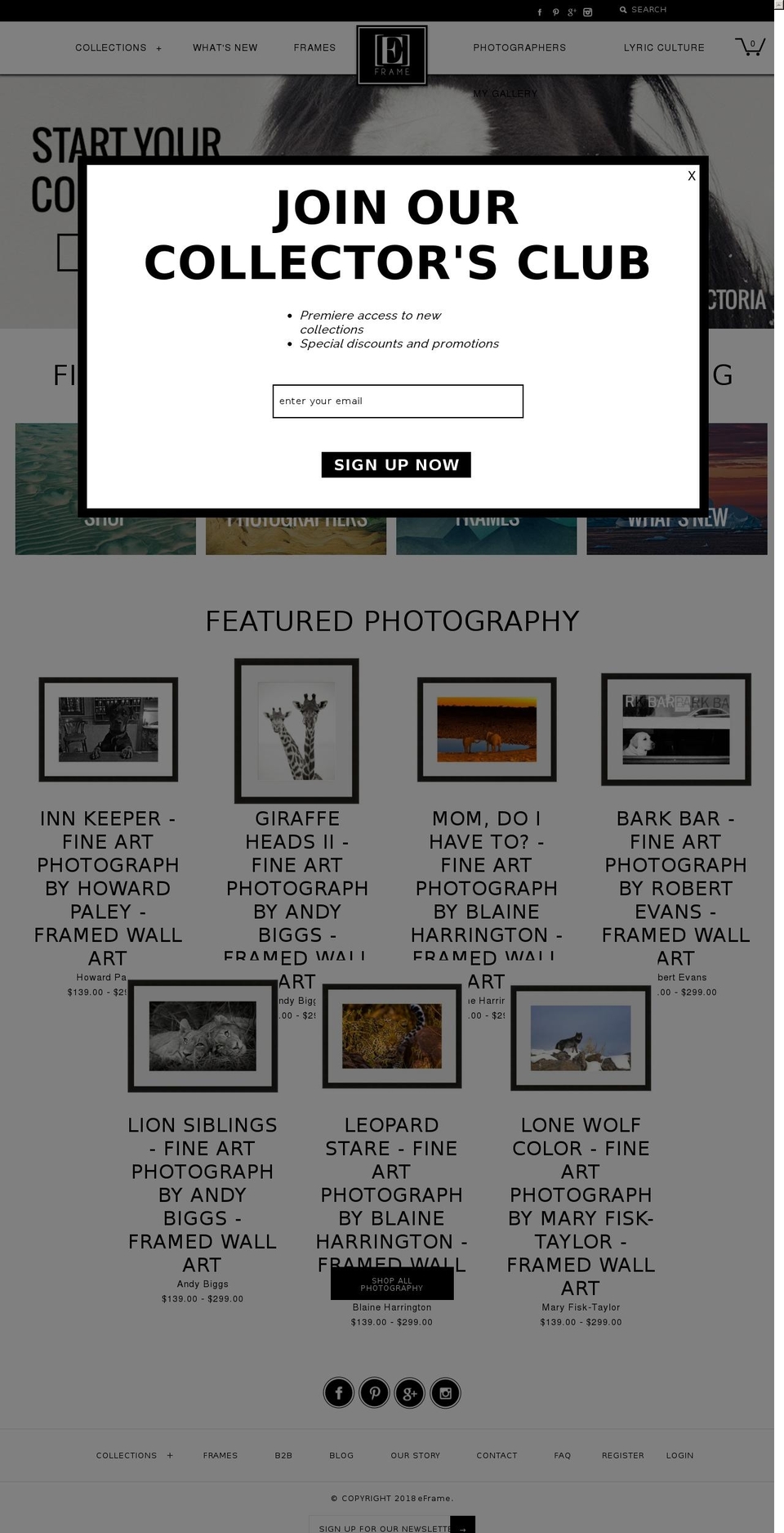 eframegallery.net shopify website screenshot