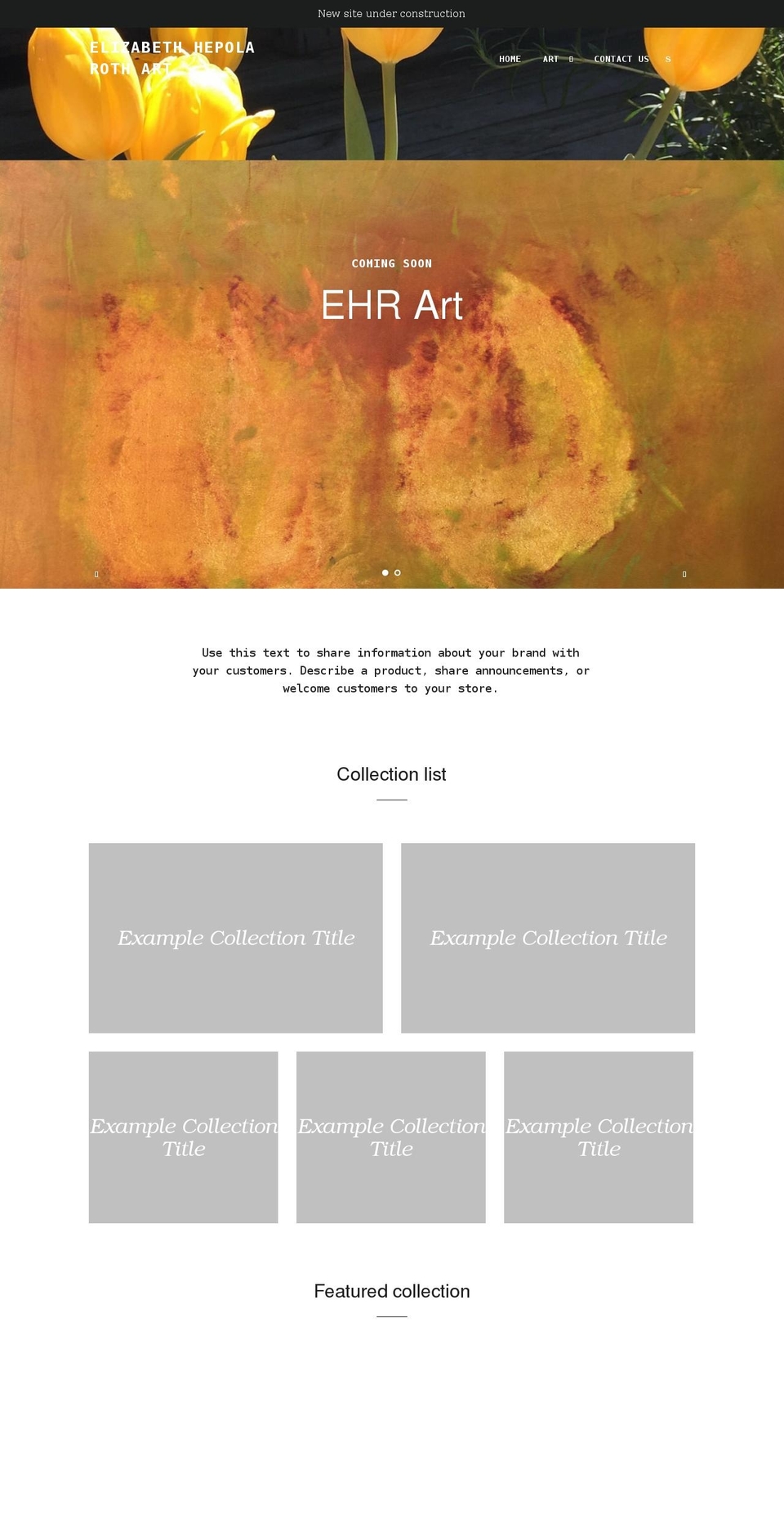 ehrart.com shopify website screenshot