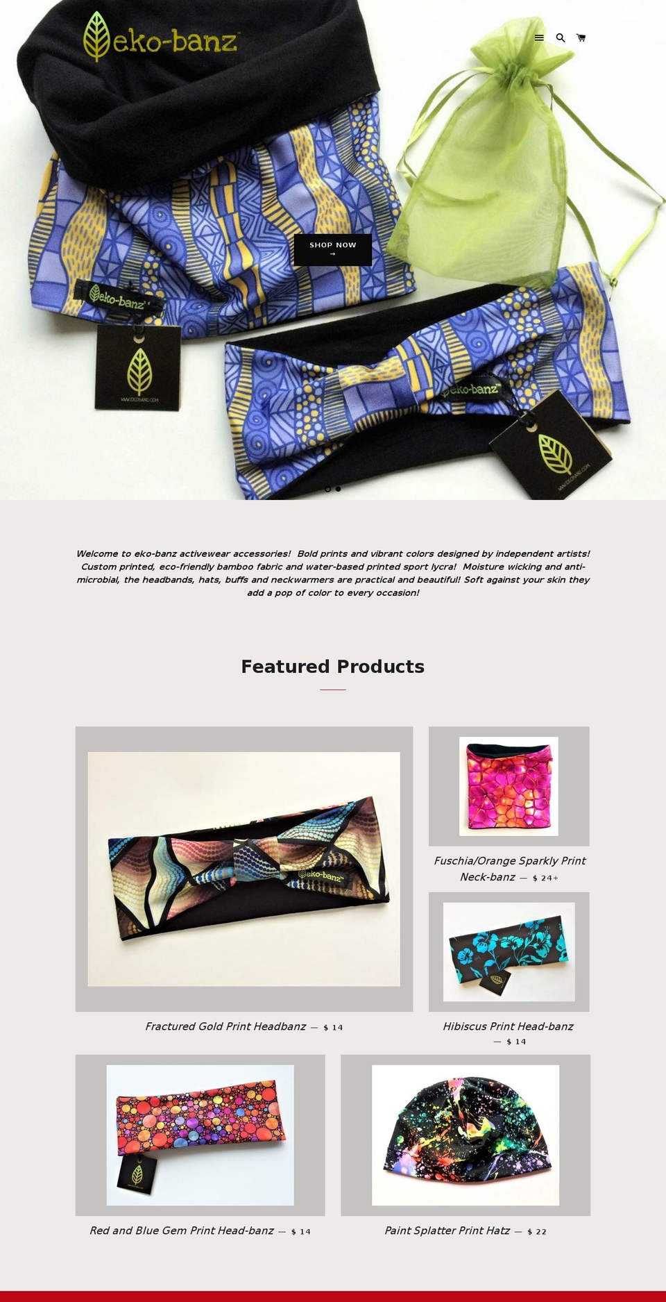 ekobanz.com shopify website screenshot