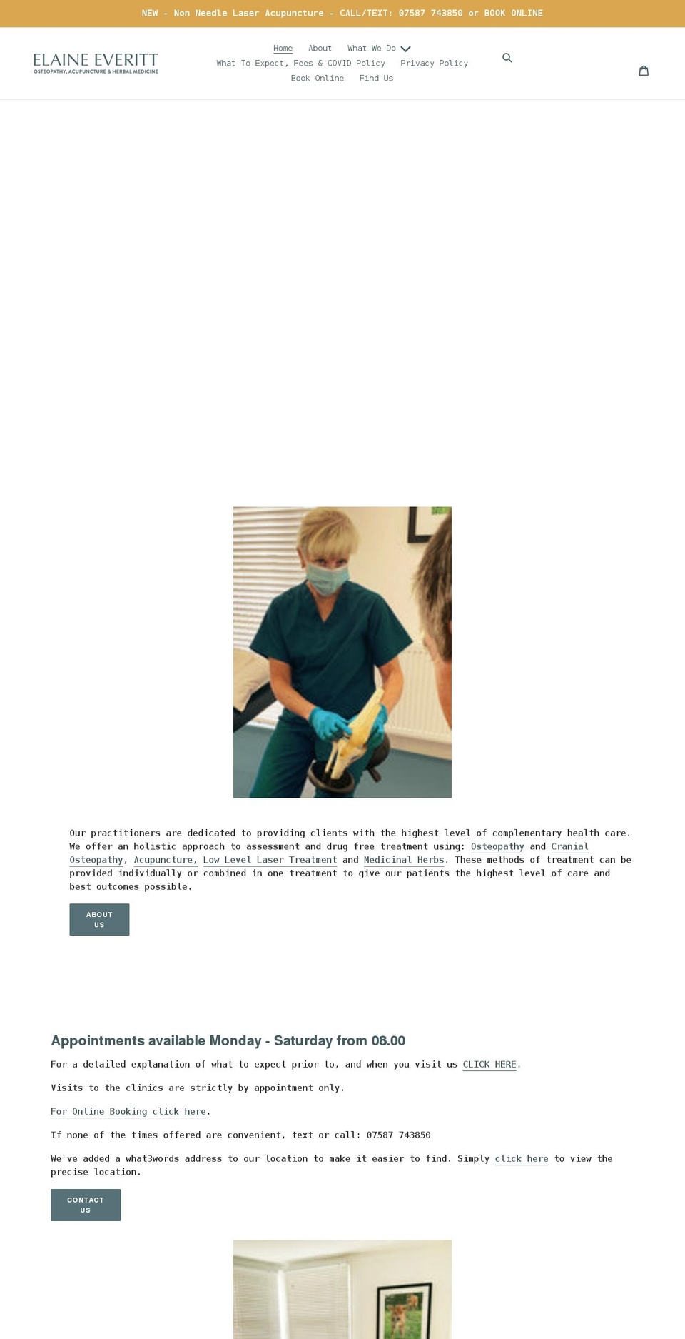 elaine-everitt.myshopify.com shopify website screenshot