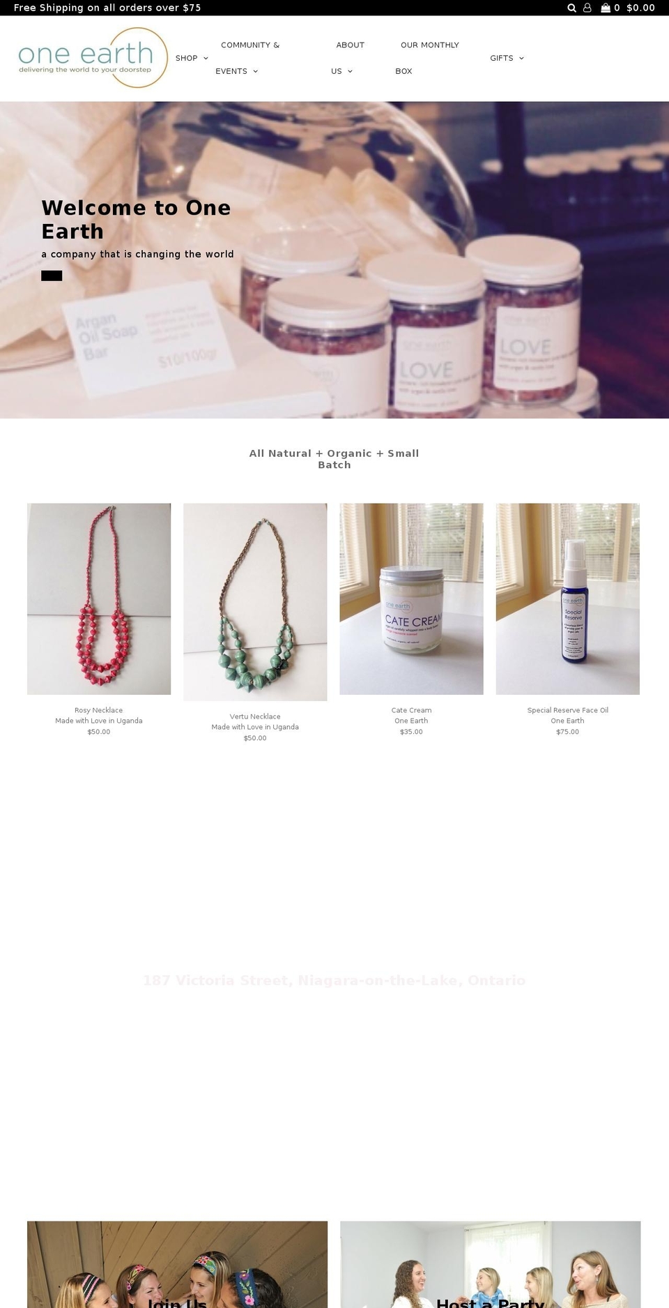 elainesilverthorn.com shopify website screenshot