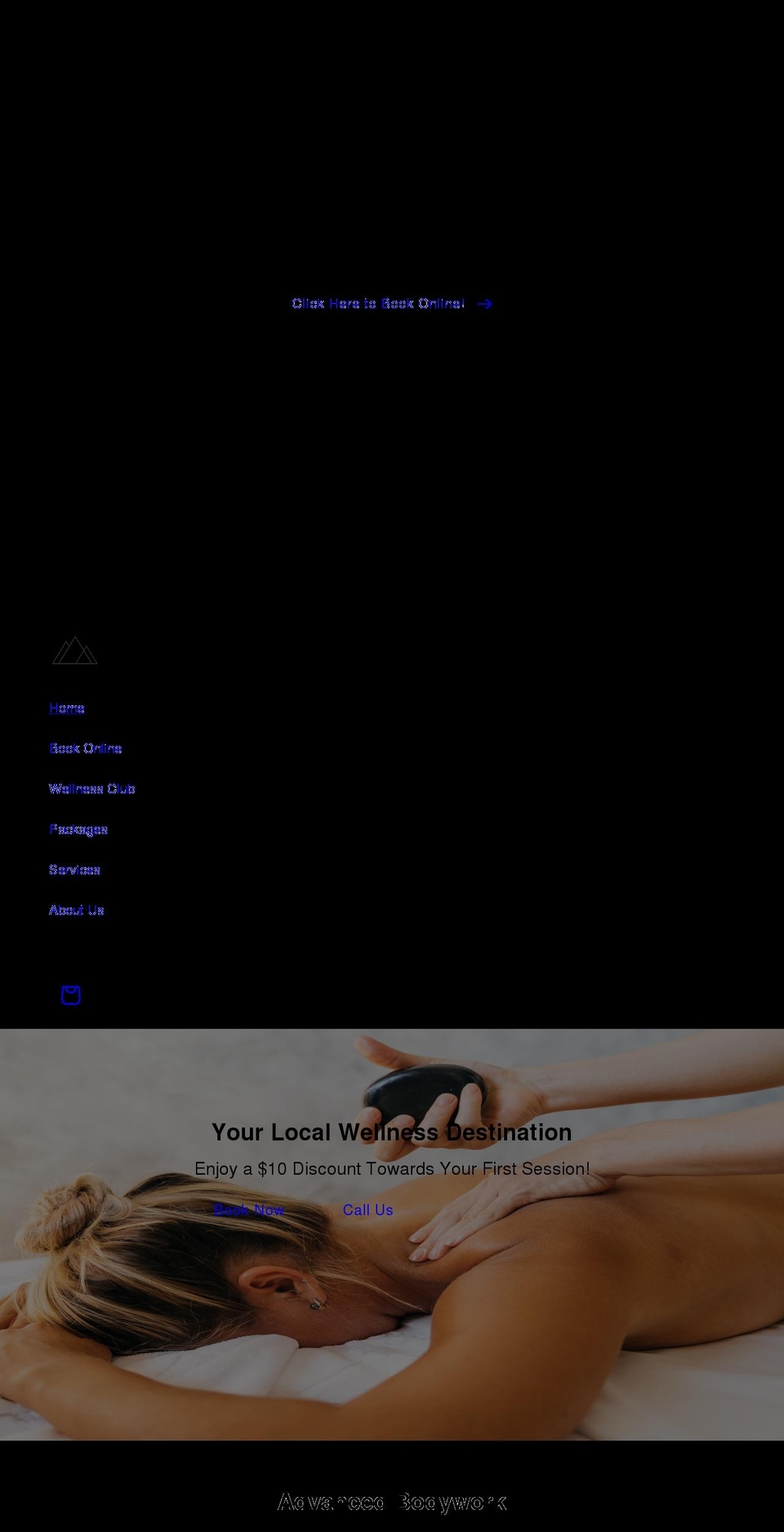 elevatemassageandwellness.com shopify website screenshot