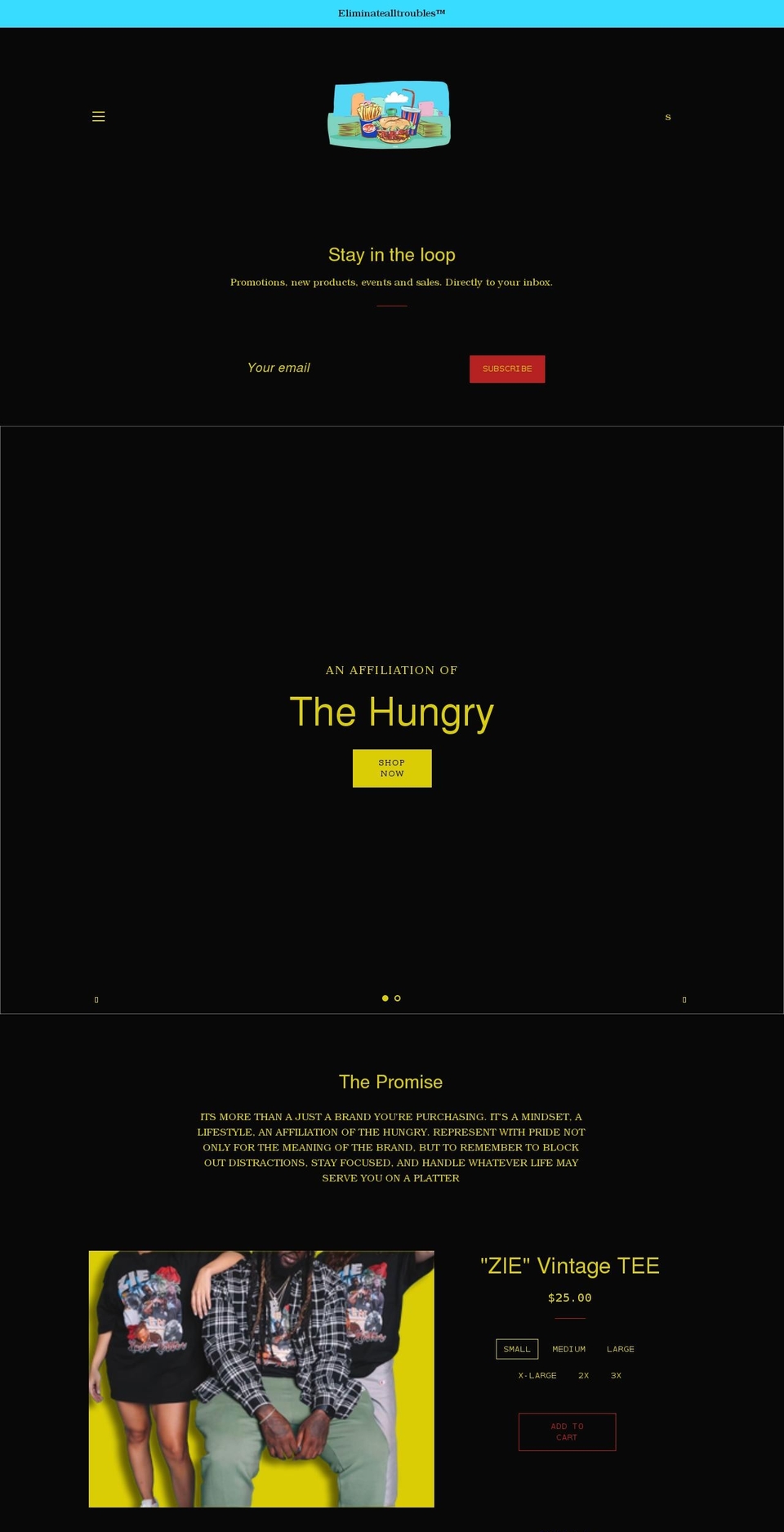 Final Project Shopify theme site example eliminatealltroubles.com