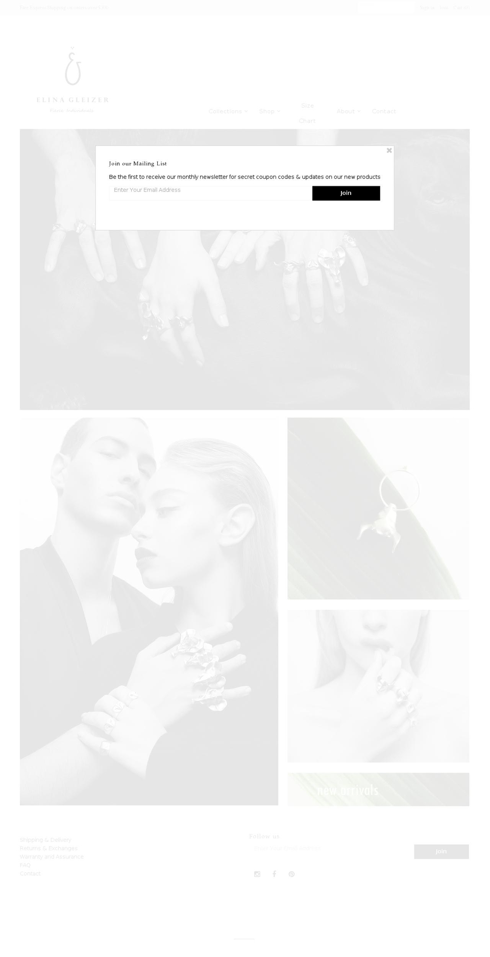 elinagleizer.com shopify website screenshot