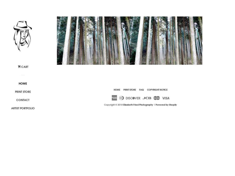 elisabethfriedphotography.com shopify website screenshot