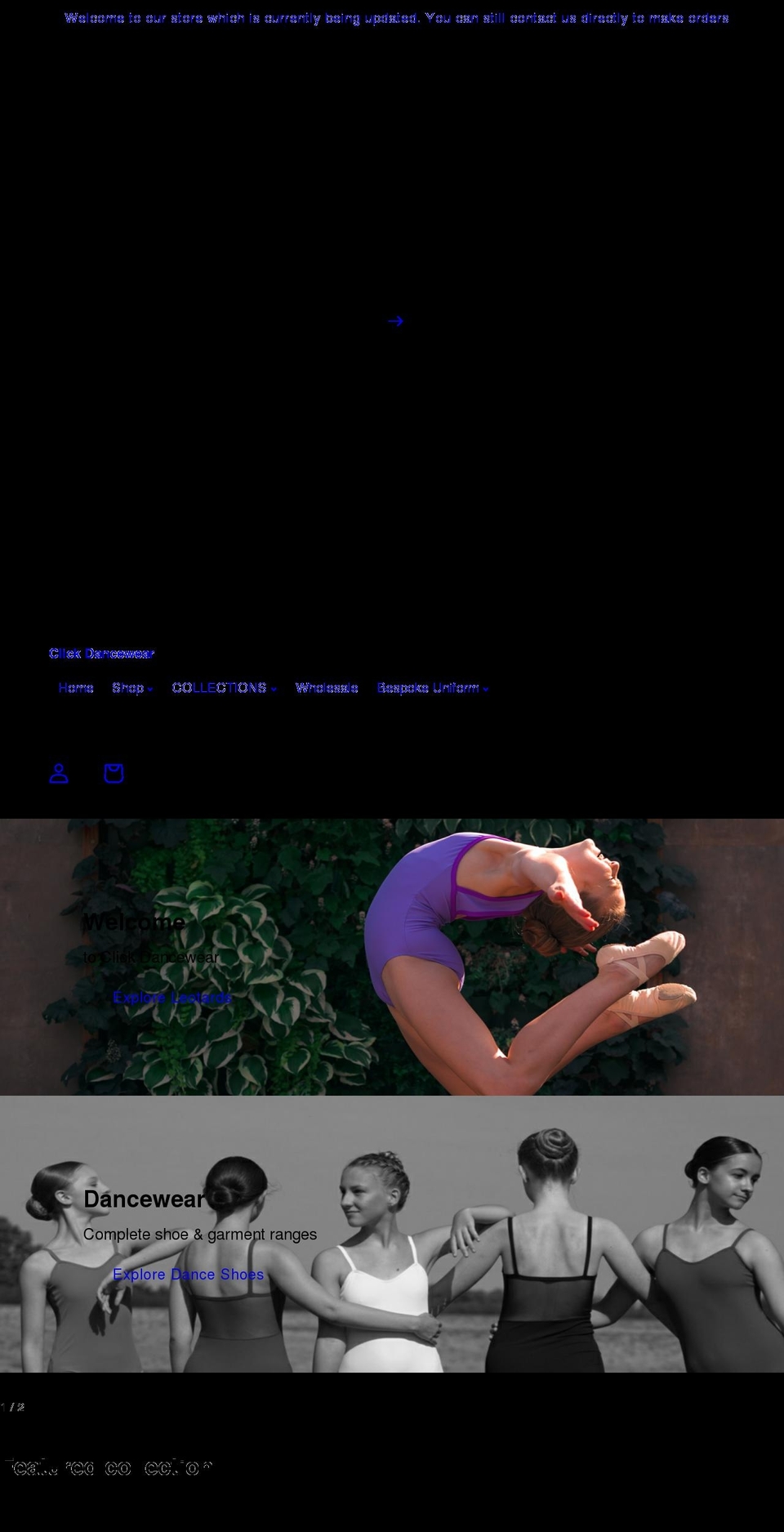 elite-dancewear.com — Shopify storefront screenshot