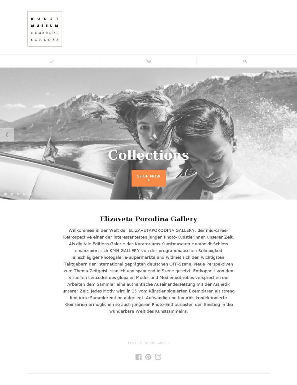 elizavetaporodina.gallery shopify website screenshot