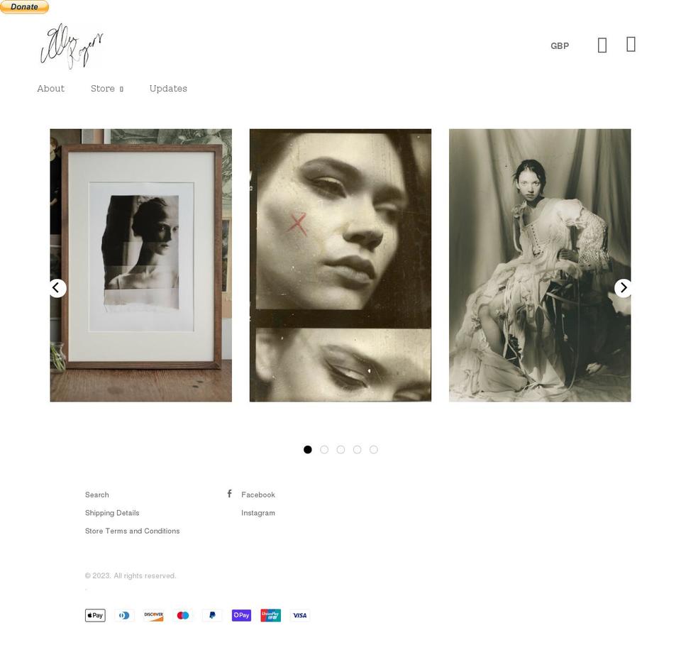 ellenjanerogers.com shopify website screenshot