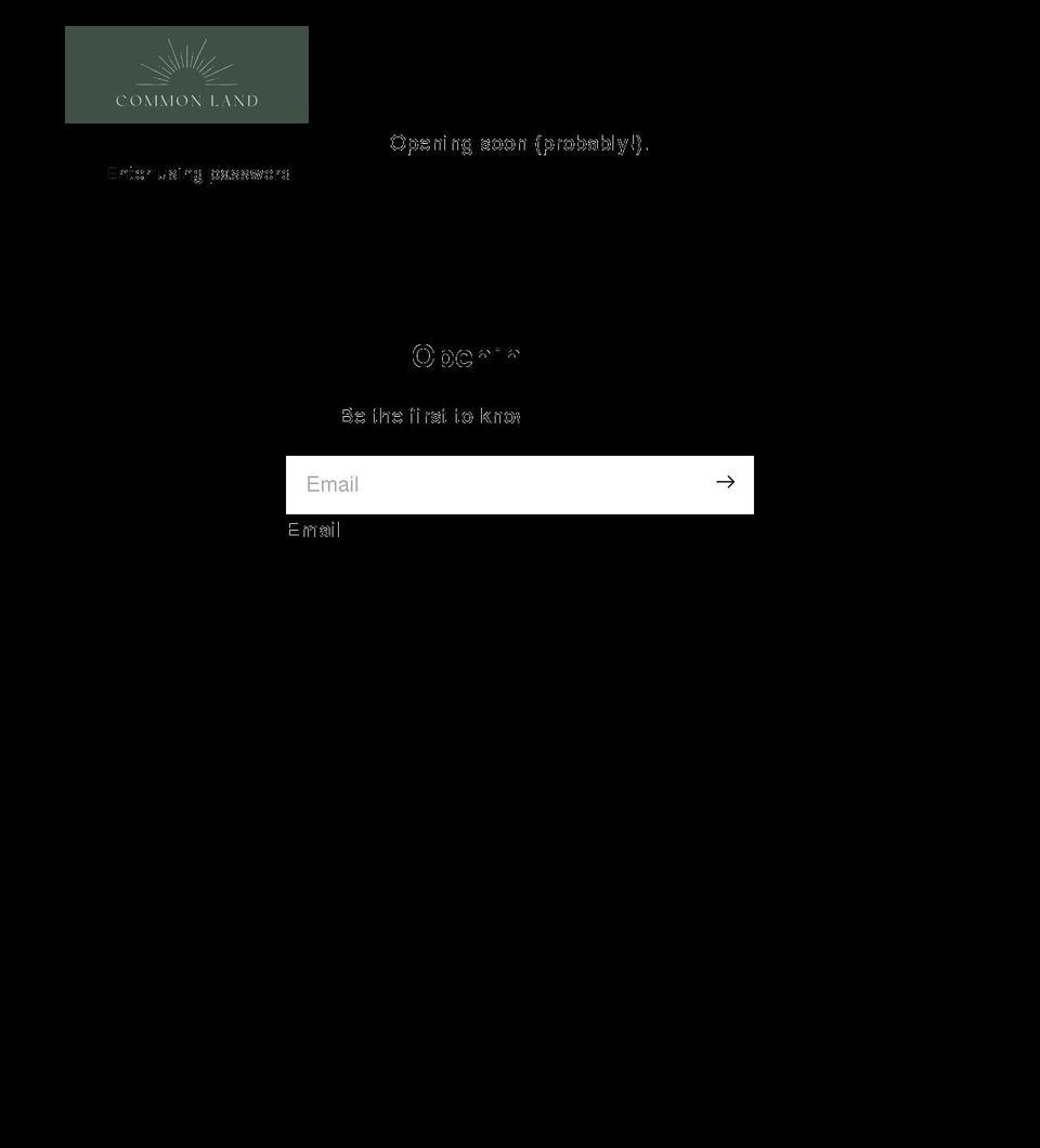 ellie-fields.myshopify.com shopify website screenshot
