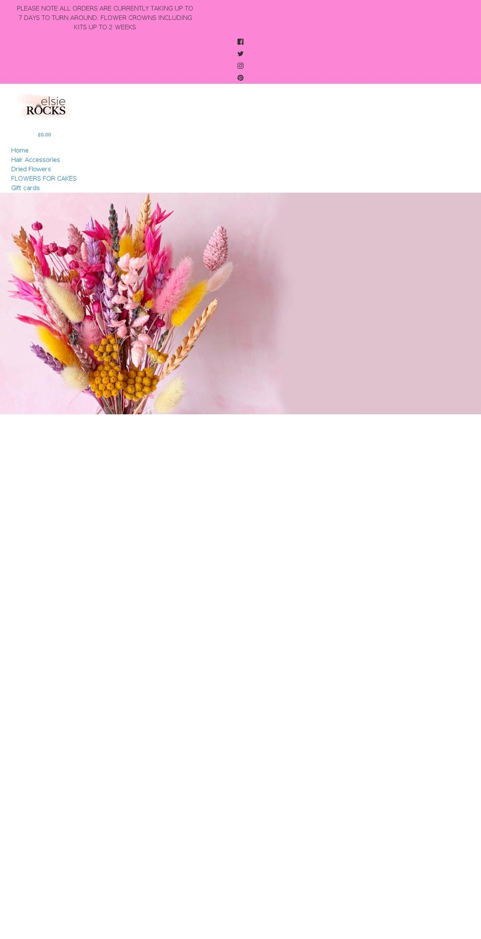 elsierocks.com shopify website screenshot