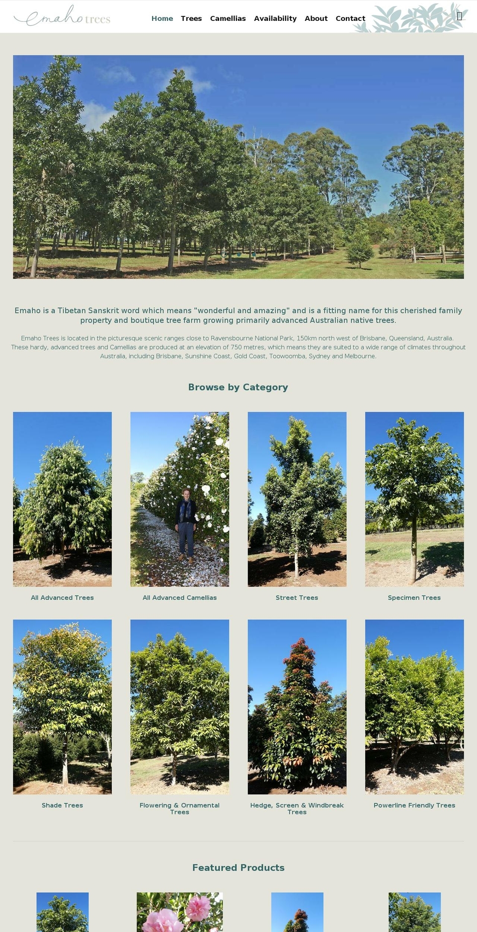 emahotrees.com.au shopify website screenshot