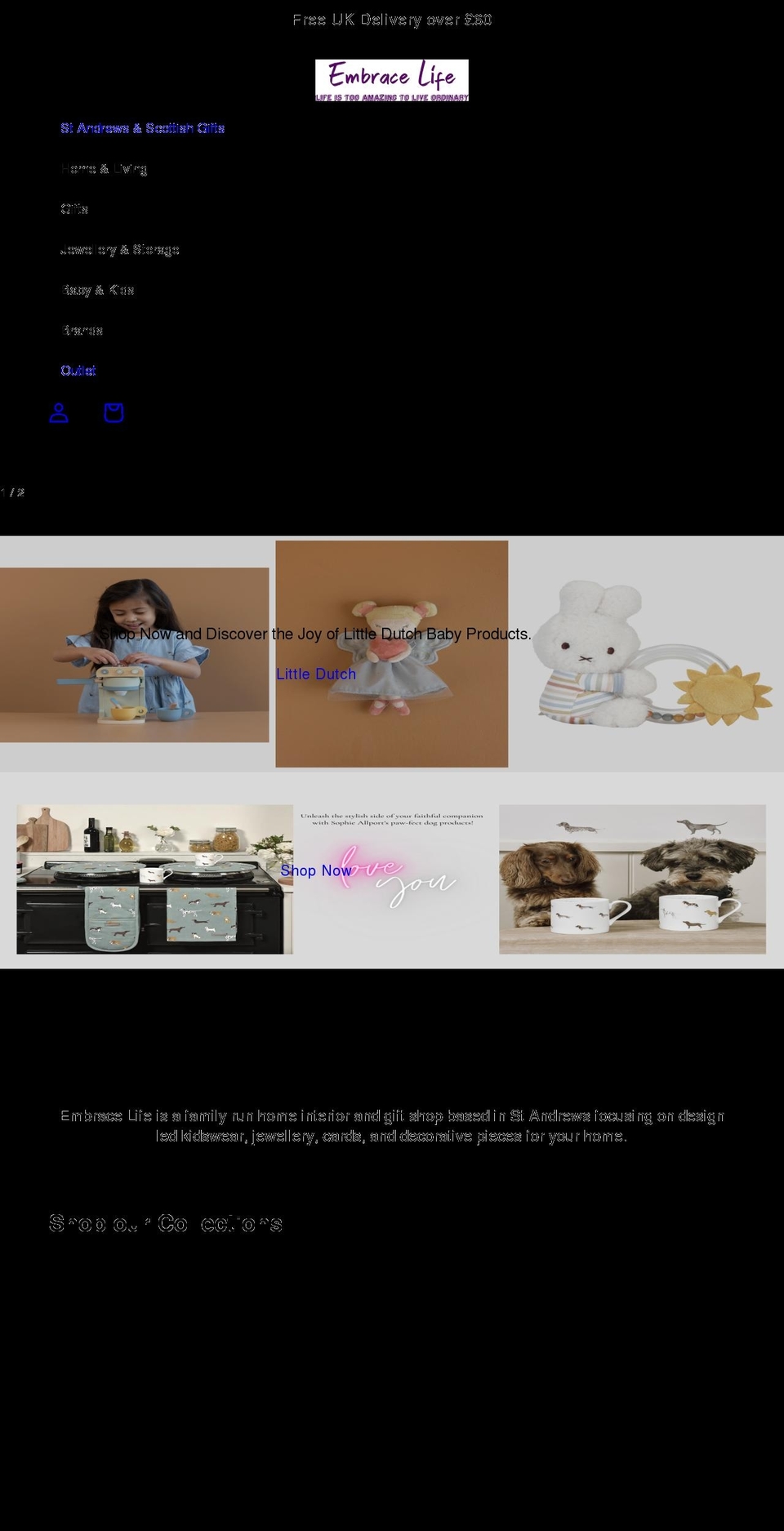 embracelifeshop.com shopify website screenshot