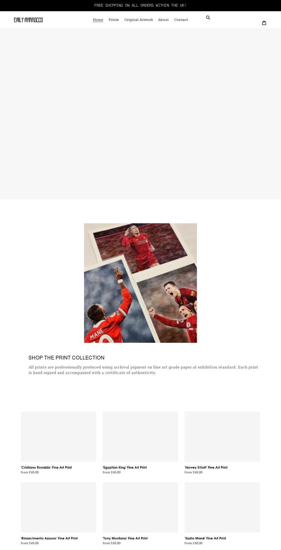 emilymarroccoart.com shopify website screenshot