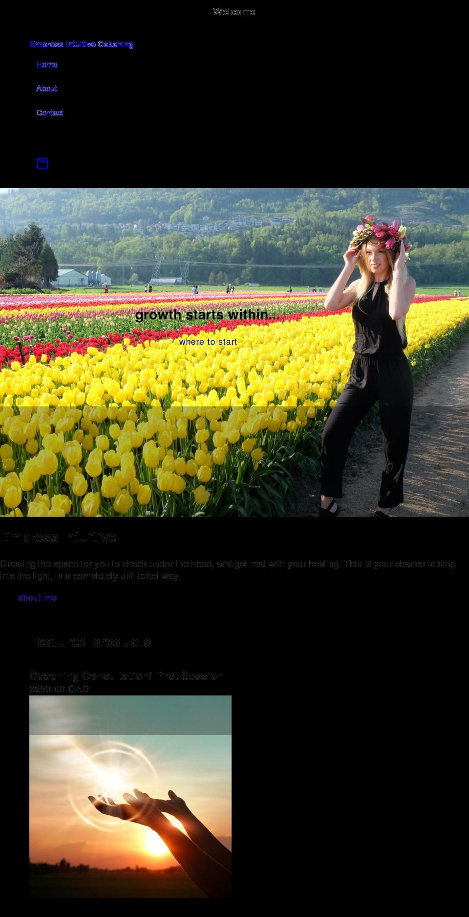 empressintuitive.com shopify website screenshot